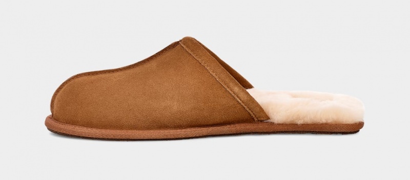 Ugg Scuff Men's Slippers Brown | DLUNCYI-70
