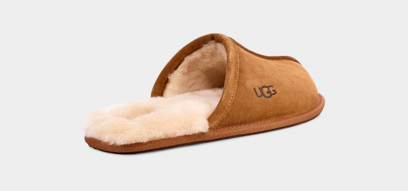 Ugg Scuff Men's Slippers Brown | DLUNCYI-70