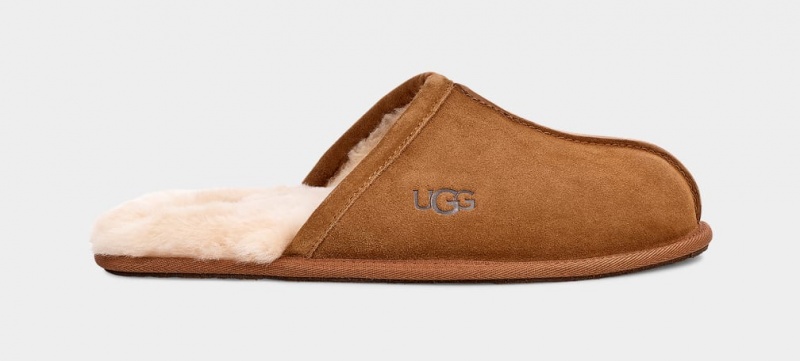 Ugg Scuff Men\'s Slippers Brown | DLUNCYI-70