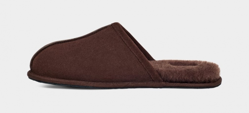 Ugg Scuff Men's Slippers Brown | HBYSJUV-06