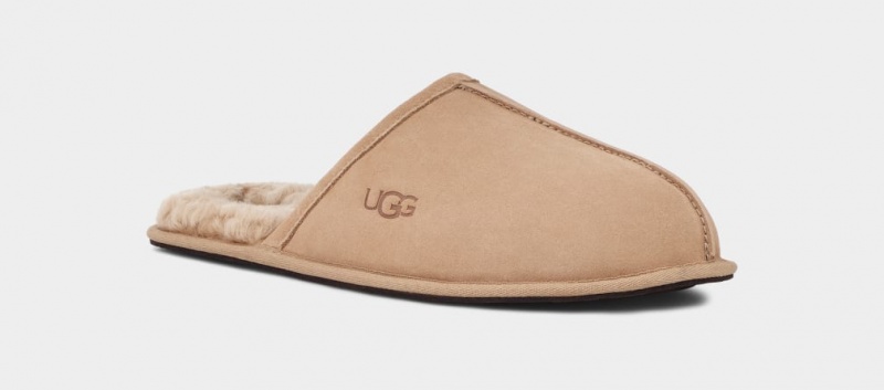 Ugg Scuff Men's Slippers Brown | XDNHYUC-08