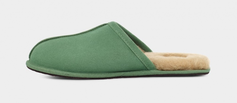 Ugg Scuff Men's Slippers Green | JZWQRXS-35