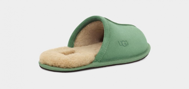 Ugg Scuff Men's Slippers Green | JZWQRXS-35