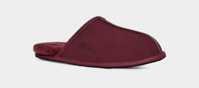 Ugg Scuff Men's Slippers Purple | KXOTYRG-12