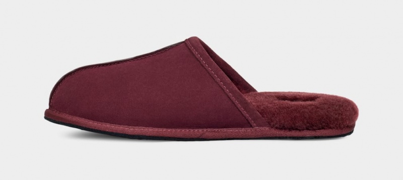 Ugg Scuff Men's Slippers Purple | KXOTYRG-12