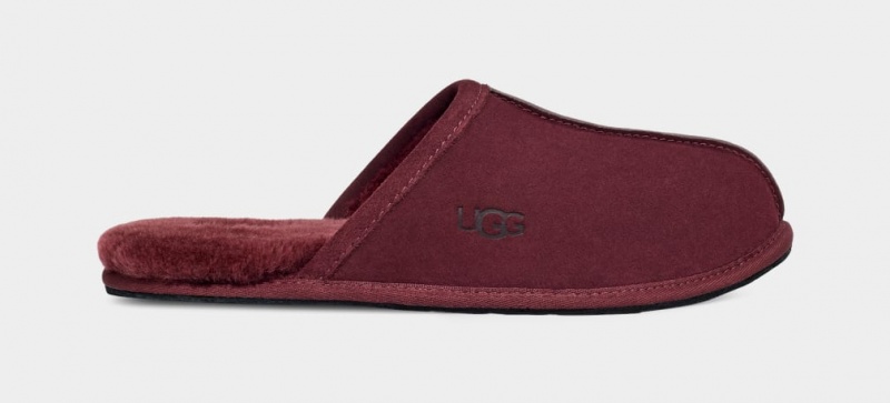 Ugg Scuff Men\'s Slippers Purple | KXOTYRG-12