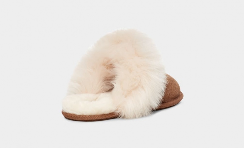 Ugg Scuff Sis Women's Slippers Brown | VEXZLDG-81