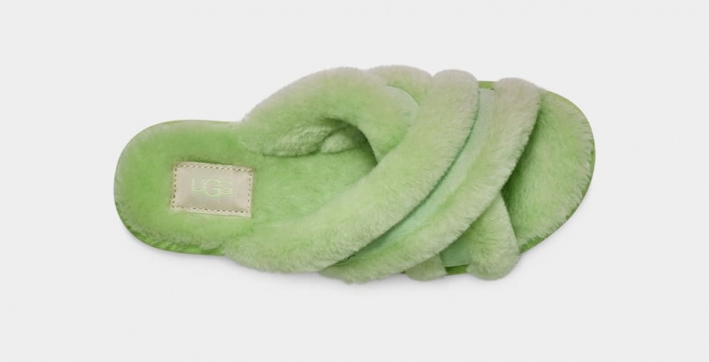Ugg Scuffita Women's Slippers Green | SBXCJAW-73