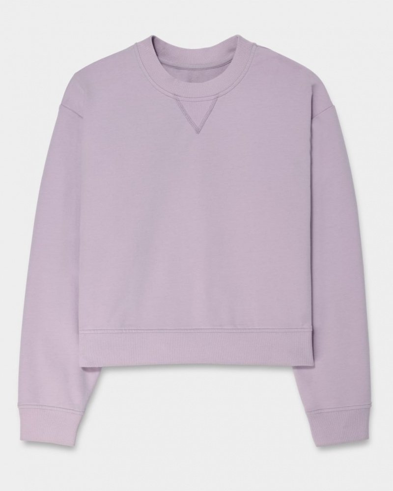 Ugg Seleste Micro Terry Women's Sweatshirt Purple | UMCKRPV-84