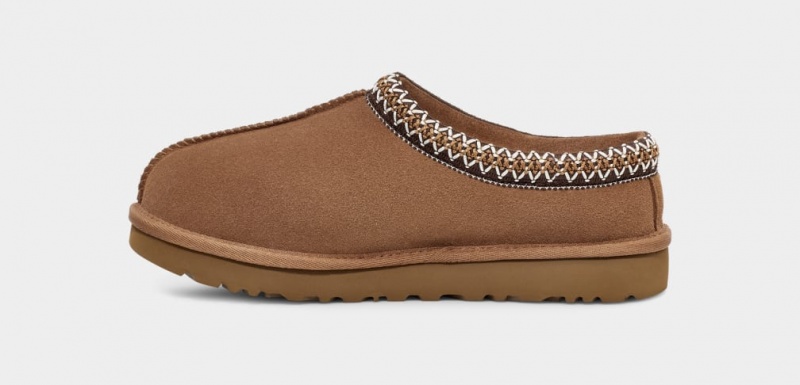 Ugg Tasman Women's Slippers Brown | QKLDZFH-75