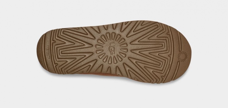 Ugg Tasman Women's Slippers Brown | QKLDZFH-75