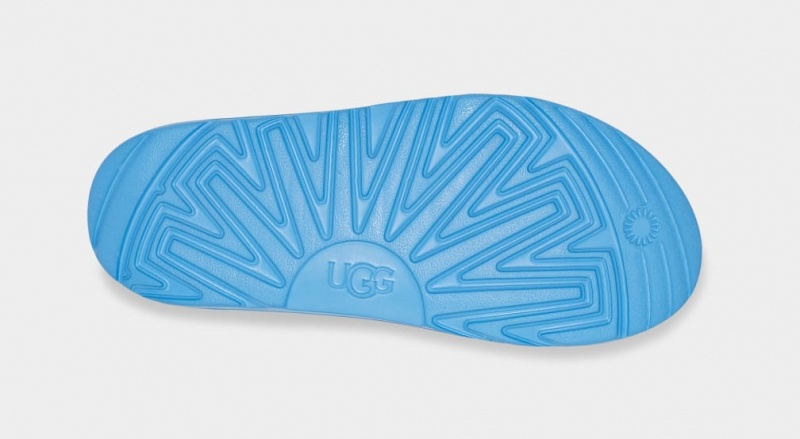 Ugg Wilcox Men's Slides Blue | HUDLSPR-07