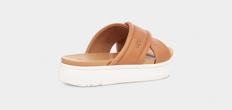 Ugg Zayne Crossband Women's Slides Brown | COLRMWZ-20