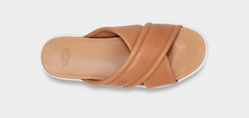 Ugg Zayne Crossband Women's Slides Brown | COLRMWZ-20